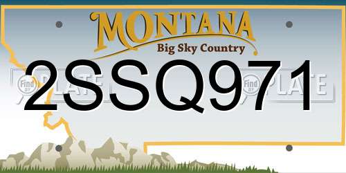 2SSQ971 Montana License Plate