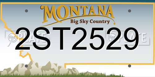 2ST2529 Montana License Plate