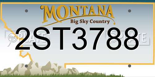 2ST3788 Montana License Plate