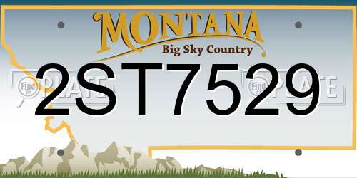 2ST7529 Montana License Plate