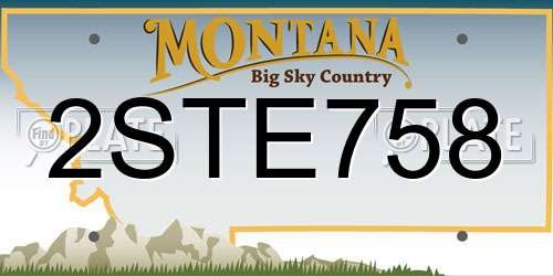 2STE758 Montana License Plate
