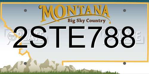 2STE788 Montana License Plate