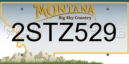 2STZ529 Montana License Plate