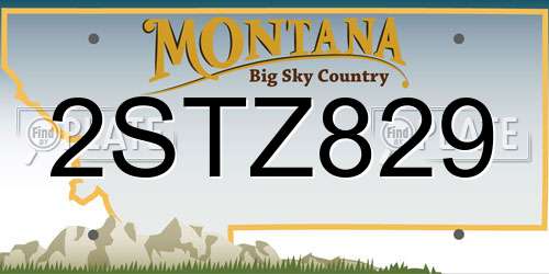 2STZ829 Montana License Plate