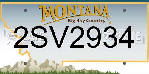 2SV2934 Montana License Plate