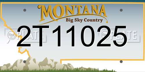2T11025 Montana License Plate