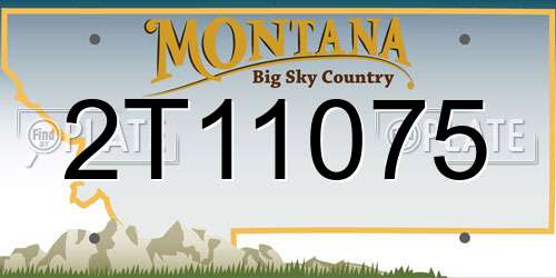 2T11075 Montana License Plate