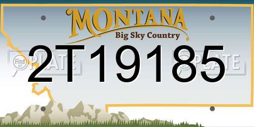 2T19185 Montana License Plate