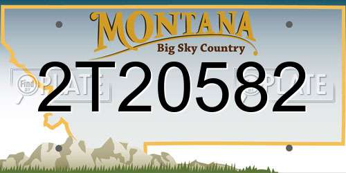 2T20582 Montana License Plate