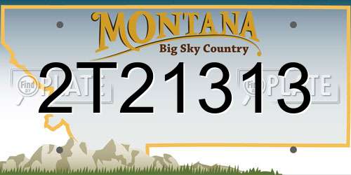 2T21313 Montana License Plate