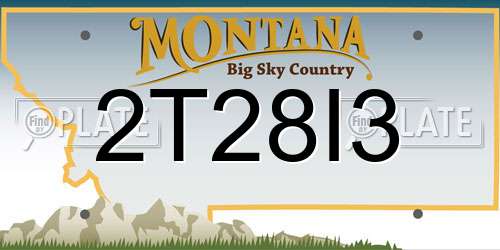 2T28I3 Montana License Plate