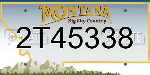 2T45338 Montana License Plate