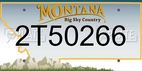 2T50266 Montana License Plate