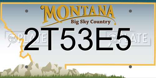 2T53E5 Montana License Plate