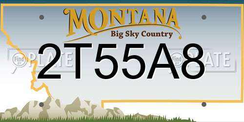 2T55A8 Montana License Plate