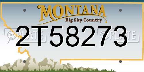 2T58273 Montana License Plate