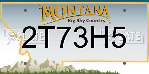 2T73H5 Montana License Plate