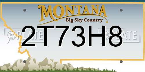 2T73H8 Montana License Plate