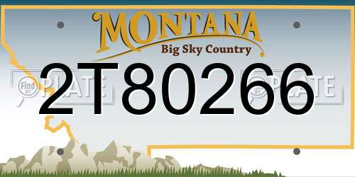 2T80266 Montana License Plate
