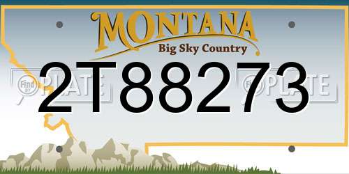 2T88273 Montana License Plate
