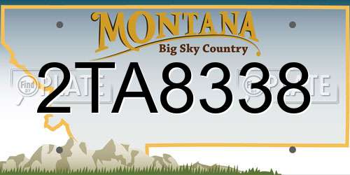 2TA8338 Montana License Plate