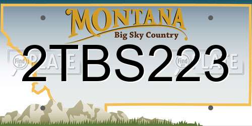 2TBS223 Montana License Plate