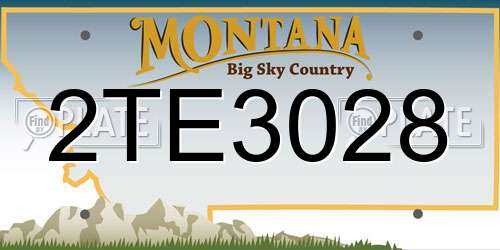 2TE3028 Montana License Plate