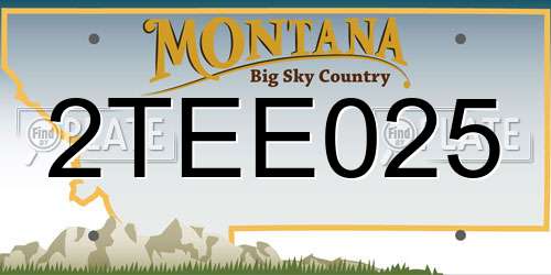 2TEE025 Montana License Plate