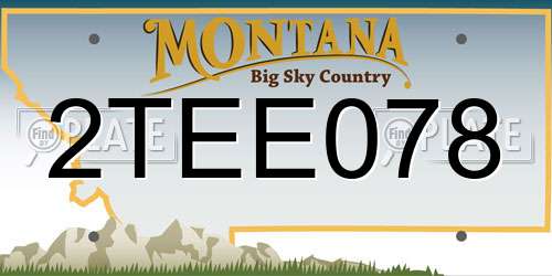 2TEE078 Montana License Plate