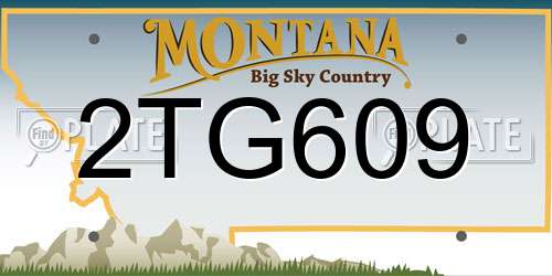 2TG609 Montana License Plate
