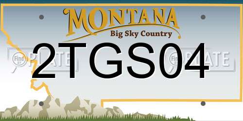 2TGS04 Montana License Plate