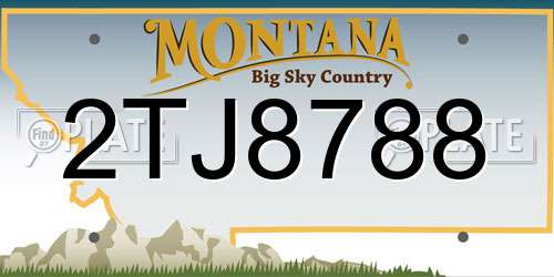 2TJ8788 Montana License Plate