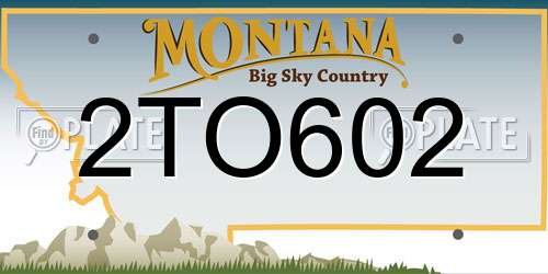 2TO602 Montana License Plate