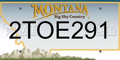2TOE291 Montana License Plate