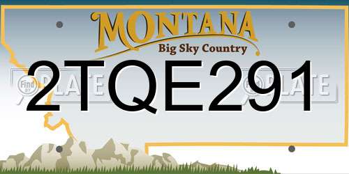2TQE291 Montana License Plate