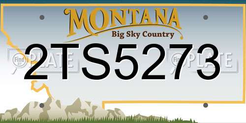 2TS5273 Montana License Plate