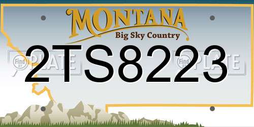 2TS8223 Montana License Plate