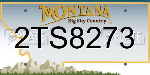 2TS8273 Montana License Plate