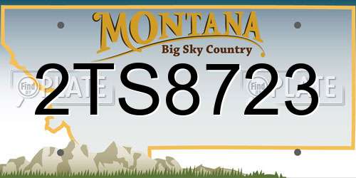 2TS8723 Montana License Plate