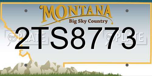 2TS8773 Montana License Plate