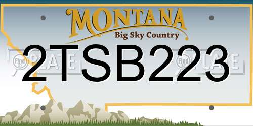2TSB223 Montana License Plate