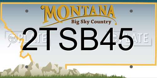 2TSB45 Montana License Plate