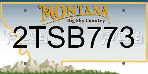 2TSB773 Montana License Plate