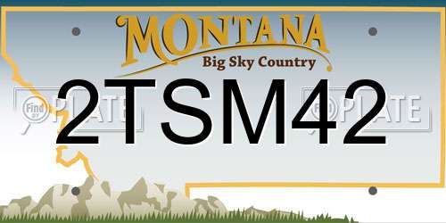 2TSM42 Montana License Plate