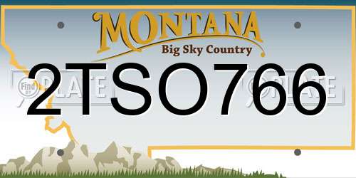 2TSO766 Montana License Plate