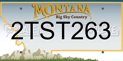 2TST263 Montana License Plate