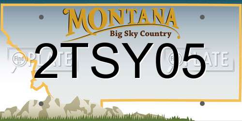 2TSY05 Montana License Plate