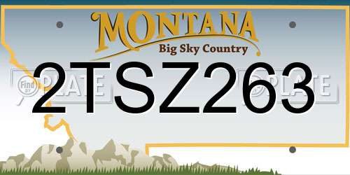 2TSZ263 Montana License Plate