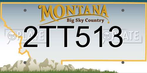 2TT513 Montana License Plate