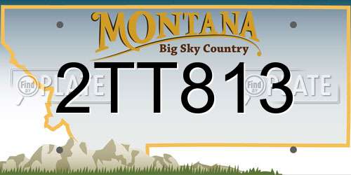 2TT813 Montana License Plate